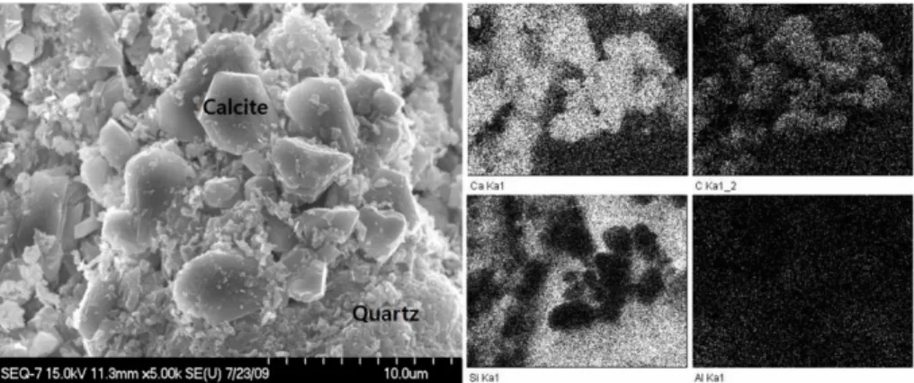 Fig.  10.  Mapping  images  of  the  specimen  from  the  mineral  carbonation  (SEQ-9).