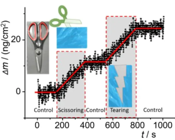 Fig.  6. QCM-measured  deposition  rates  of  spherical  or  rod-shaped  polystyrene  microplastic  particles  on  silica  sur- sur-face  at  different  ionic  strengths