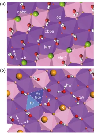 Fig.  2. Atom  types  (ob,  obbs,  obbd,  hw,  ow)  assigned to  (a)  Na-birnessite  and  (b)  K-birnessite  MD simulations