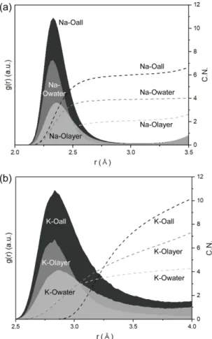 Fig.  3. Radial  distribution  functions  (solid  areas) between  the  interlayer  cation  and  O  and  the cumulative  coordination  numbers  (C.N.)  (dashed lines)  of  the  cation  in  (a)  Na-birnessite  and  (b) K-birnessite.