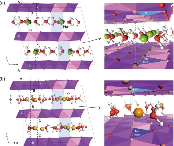 Fig.  4. Polytype  sequences  (AbC=CaB=BcA=AbC...)  of  Mn  octahedral  sheets  and  coordination  environment  of  inter- inter-layer  cations  in  MD-simulated  (a)  Na-birnessite  and  (b)  K-birnessite  (green  :  Na + ;  orange  :  K + ;  TC  =   trid