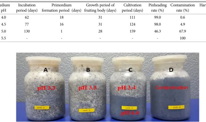 Fig. 1. pH in the medium for controlling the pH after 80 days of inoculation. A : pH 4.0