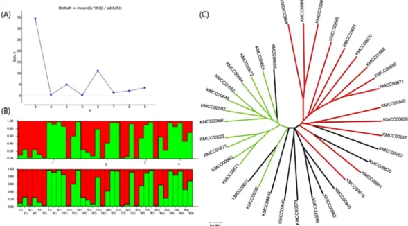 Fig. 3. Population structure of 36 A. bisporus based on STRUCTURE at Delta K=2, (A); Measure of Delta K for each K value