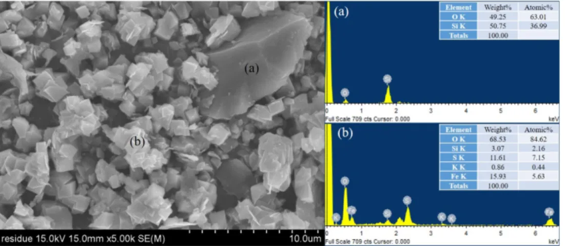 Figure  4.  The  result  of  SEM/EDS  analysis  for  microwave  nitric  acid  leaching  residue.