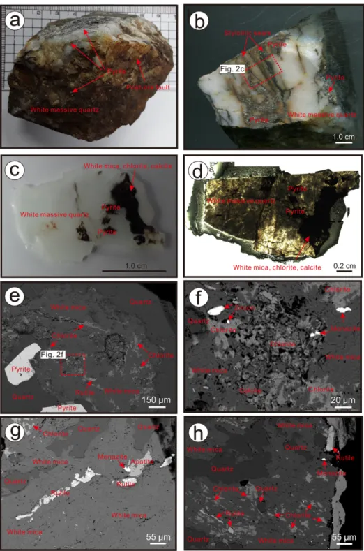 Fig.  2. Photographs,  microphotograph  and  BSEs  of  laminated  quartz  vein  sample  and  minerals  representative  for laminated  quartz  vein  from  the  Unsan  Au  deposit