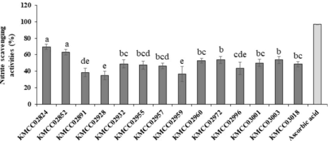 Fig. 4. Total polyphenol contents of 70% ethanol extracts (1 mg/ml concentration) from 14 strains of Ganoderma spp
