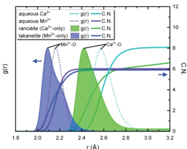 Fig.  4. Radial  distribution  functions,  g(r),  and  inte- inte-grated  coordination  numbers,  C.N