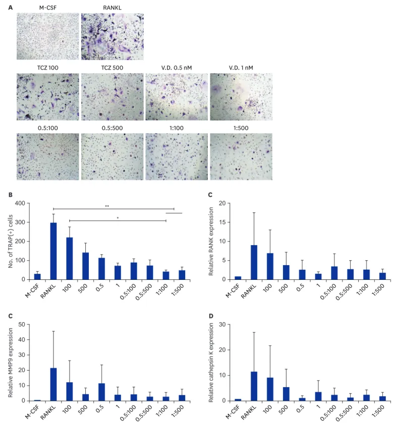 Fig. 2. Osteoclastogenesis in the presence or absence of tocilizumab and/or 1,25(OH) 2 D 3 