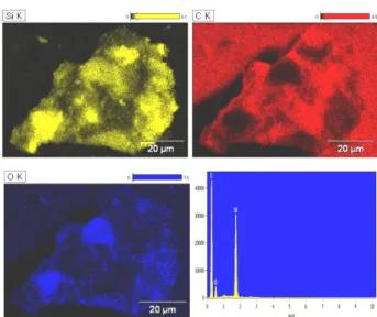 Figure 4. EDX spectrum and mapping of the H-Si/C.