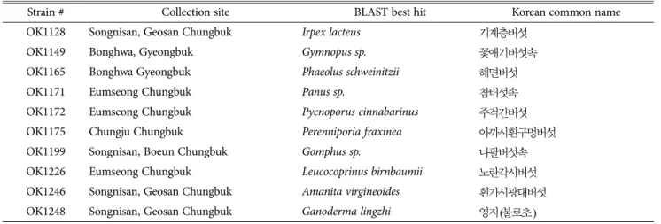 Table 1. List of the strains used in this study