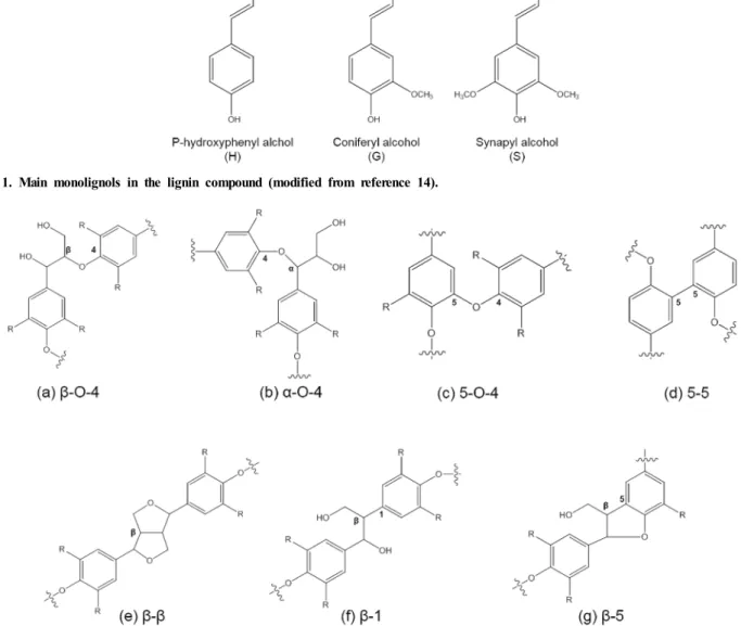 Figure 1. Main monolignols in the lignin compound (modified from reference 14).