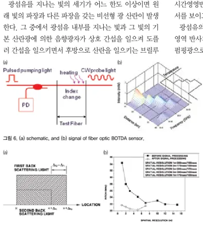 그림 7.  (a) Back scattering light accumulation spaces by two pulsed lights having small width  difference of BOTDA, and (b) the pitches of Brillouin gain spectrum using two pulsed lights.