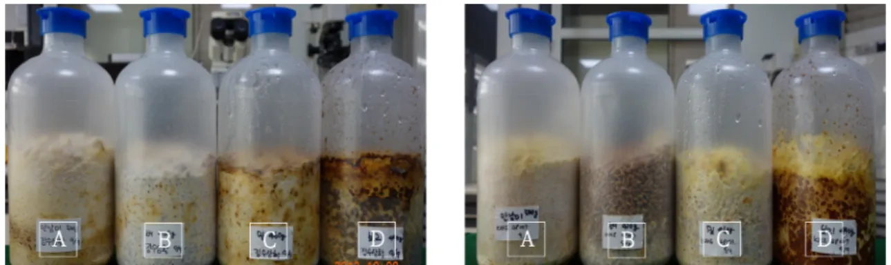 Table 5. Functional component and yield of extraction from mycelia of Phellinus sp. on different grain media