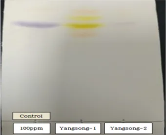 Fig. 4. HPLC chromatogram of auxin extracted from the strains IAA standard  100 mg L -1 (A), Yangsong-1 (B).