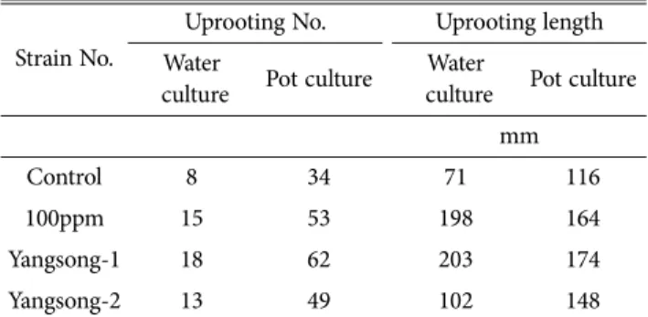 Table 3. Growth effect of lettuce infected with auxin- auxin-producing bacterium in seed pot culture