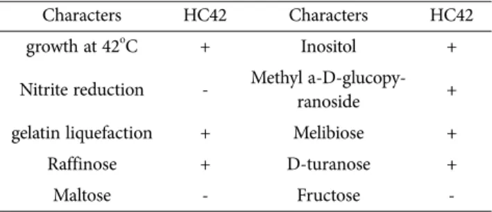 Fig. 2. Phylogenetic tree of HC42 based on 16S rRNA sequence similarity. Branching values determined using 1,000 bootstraps