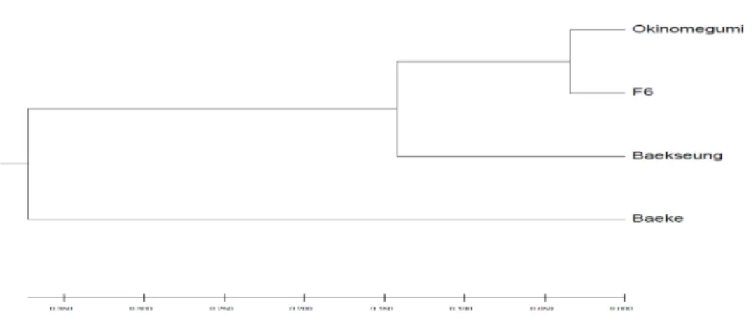 Fig. 6. Phylogenetic analysis of F. velutipes based on PCR polymorphism using UPF primers