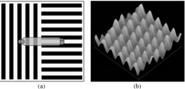 Fig. 1. Reference patterns for surface encoding         (a) two orthogonal linear patterns                  (b)  two-dimensionally  periodical  pattern