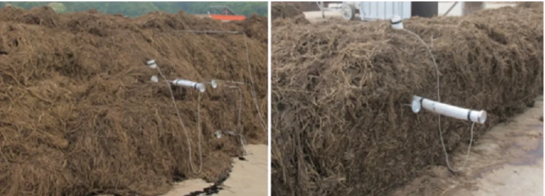 Fig. 3. Temperature change during outdoor composting process of button mushroom compost