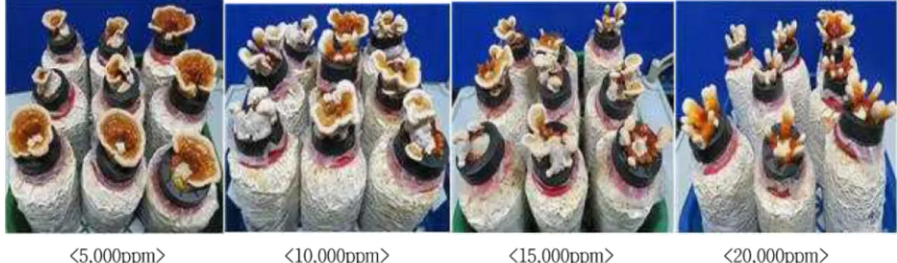 Table 11.  Characters  of  the  fruiting  bodies  of  Lingzhi mushroom according to CO 2  content.