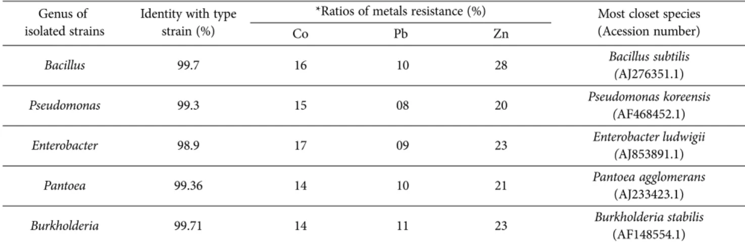 Fig.  1.  Effect  on  mobilization  of  Co,  Pb  and  Zn  in  soil  by inoculation with button mushroom compost