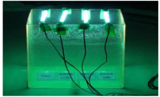 Fig. 5. Accelerated weathering test by UV exposure