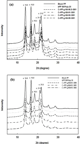 Figure 7. XRD patterns of bPP and bPP/MAH-g-rPP/pulp composites.