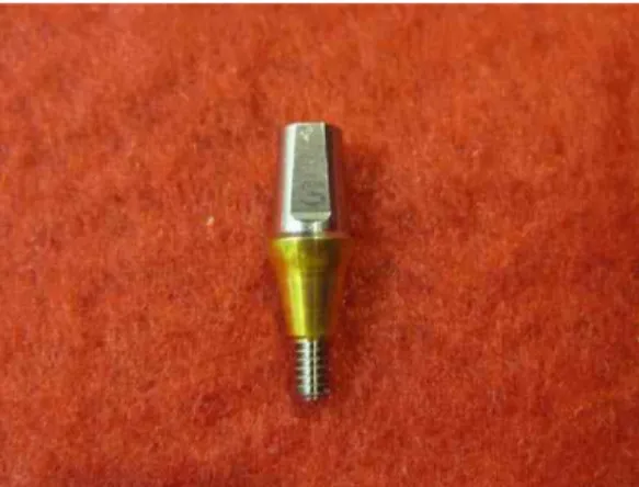 Fig. 2. Experimental specimen analog(Lab analog, GSTLA400, Osstem Implant Co., Busan, Korea) embedded in acrylic resin