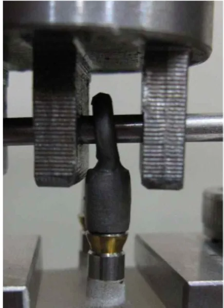 Fig. 11. UniTech T ™ (RB Model 301, R&amp;B Co., Deajeon, Korea)
