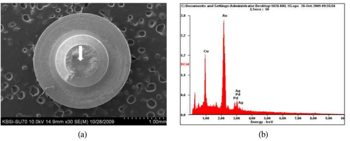 Fig. 12. EDS analysis of implant retaining screw (gold alloy). (a) Low magnification (X 30)
