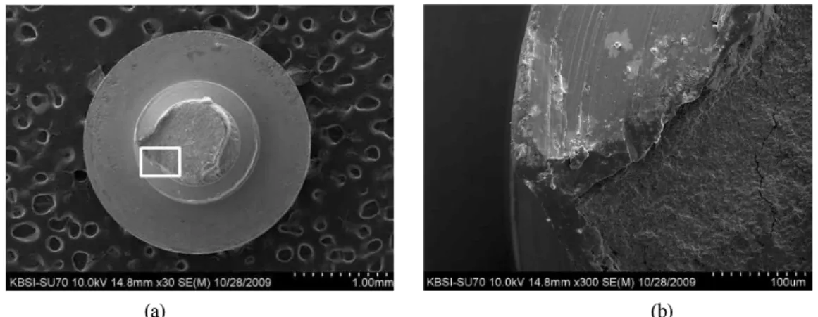 Fig. 4. Post-cleansing state. (a) Low magnification (X 30). (b) Higher magnification of the white box area (X 300)