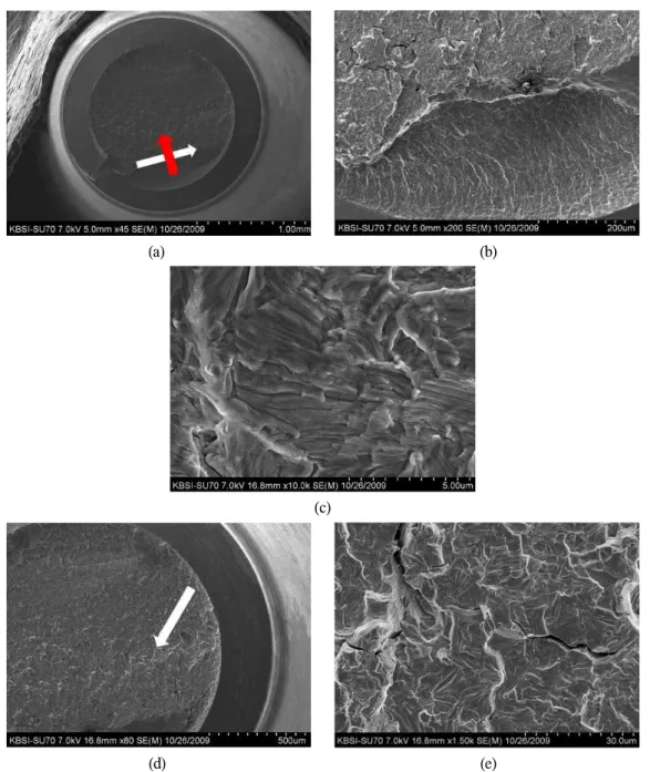 Fig. 6. Implant retaining screw (titanium). (a) Low magnification (X 45, white arrow indicates direction of crack propagation, red arrow indicate progression of primary crack)