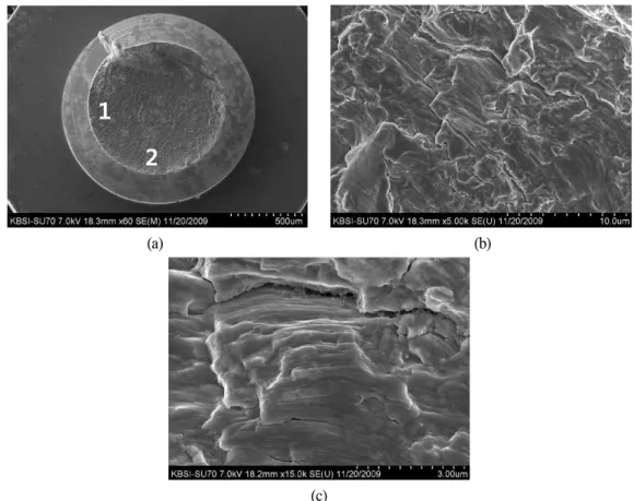 Fig. 9. Other surface of implant retaining screw (Fig. 14). Fatigue striation was shown at each area (1-(b), 2-(c))