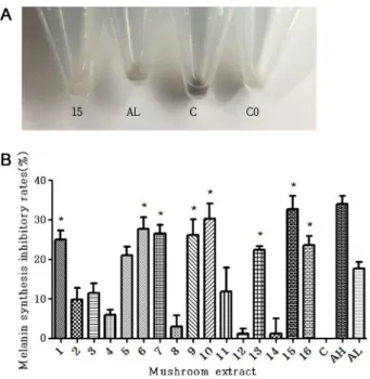 Fig. 4. Whitening effect of mushroom hot water extract on artificial skin. 