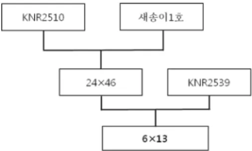 Fig. 1. Breeding pedigree of Aeryni 5.