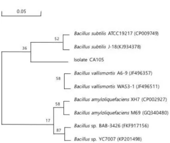 Table 1. Cellulase and xylanase activity of the isolated strains from spent mushroom substrates