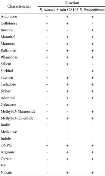 Table 2. Biochemical characteristics of Bacillus subtilis CA105