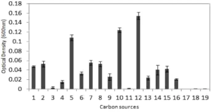 Fig. 4. Effect of inorganic nitrogen sources for the growth of P. azotoformans HC5 in basal medium