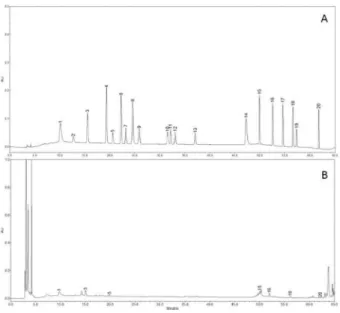 Fig. 3. Reducing power of methanol and hot water extract from fruiting bodies of Russula rosacea
