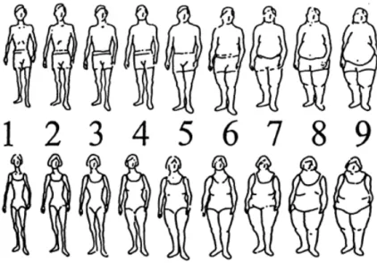 Figure 1. Figure drawing for body image. (Source: Stunkard et al., 1980).(1980)의 시각적 체형도(Figure 1)를 이용하였으며, 이 측정도구는 연구대상자가 직접 선택한 현재 자신의 체형이라고 인식하는 그림(현재 체형)의 값에서 이상적이라 생각하여 희망하는 체형(이상 체형)의 그림값을 뺀 차이값을 확인함으로써 체형지각 정도를 확인하는 도구이다