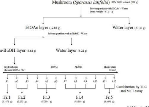 Fig. 1. Flow-chart of solvent partition and open column fraction of S. latifolia extract.