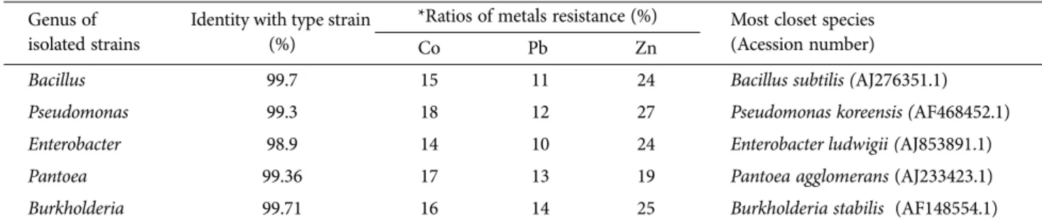 Fig. 1.  Effect  on  mobilization  of  Co,  Pb  and  Zn  in  soil  by inoculation with button mushroom compost