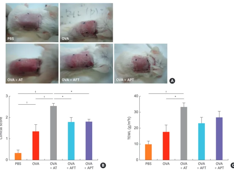 Fig. 1. Oral antibiotic administration aggravates clinical signs in a mouse model of AD