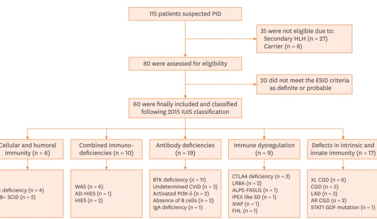 Fig. 1. Enrollment and classification of patients. 