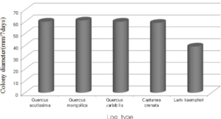 Table 3. Effect of log type on fruit body formation of L. edodes(Sanjo701ho)