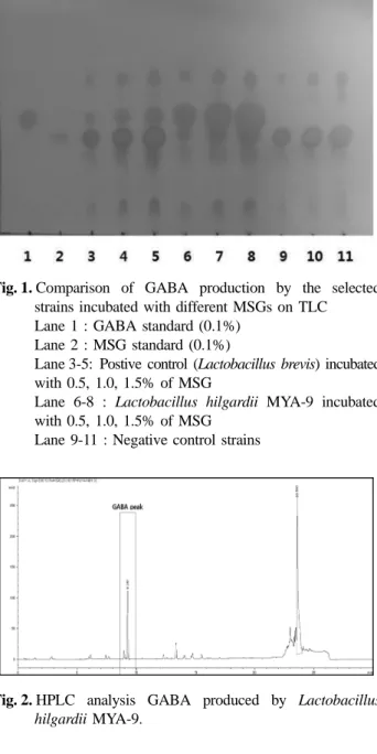 Fig. 2. HPLC analysis GABA produced by Lactobacillus hilgardii MYA-9.