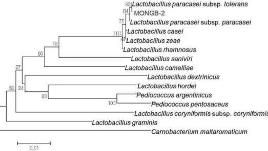Table 2. Effect of difference carbohydrates on organic acids production in Lactobacillus paracasei MONGB-2 fermentation a