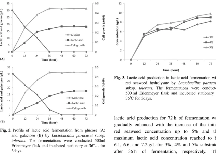Fig. 3. Lactic acid production in lactic acid fermentation with red seaweed hydrolysate by Lactobacillus paracasei subsp