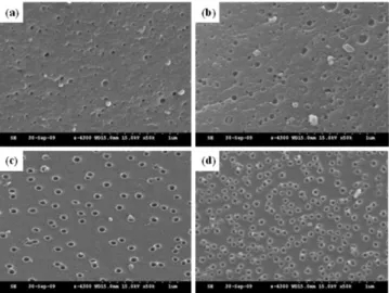 Table 4. Porous Structure Parameters of the Pitch-based ACs 