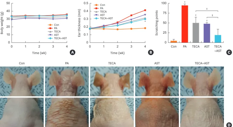 Fig. 1. Differences in body weight, dorsal ear skin thickness and phenotypes, as well as back skin phenotypes